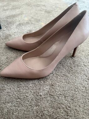 Banana Republic Blush Pink Pointed-Toe Stiletto Pumps